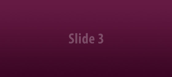 Slide 3