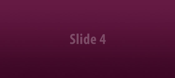 Slide 4