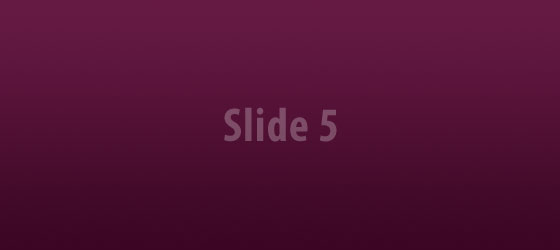 Slide 5